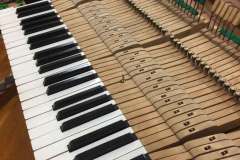 Grand-restoration-2-piano-tuning
